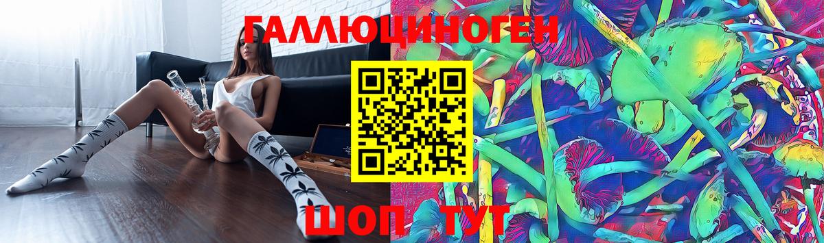 Артём  Псилоцибиновые грибы MAGIC MUSHROOMS  Вход с VPN  Галлюциногенные грибы прущие грибы 